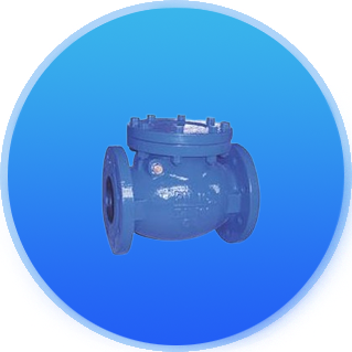 法兰球型止回阀2